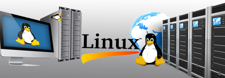 What Is Linux Web Hosting?